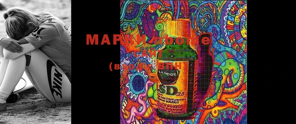 гидропоника Тавда