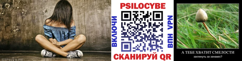 Псилоцибиновые грибы Cubensis  Купить закладки  Сунжа 